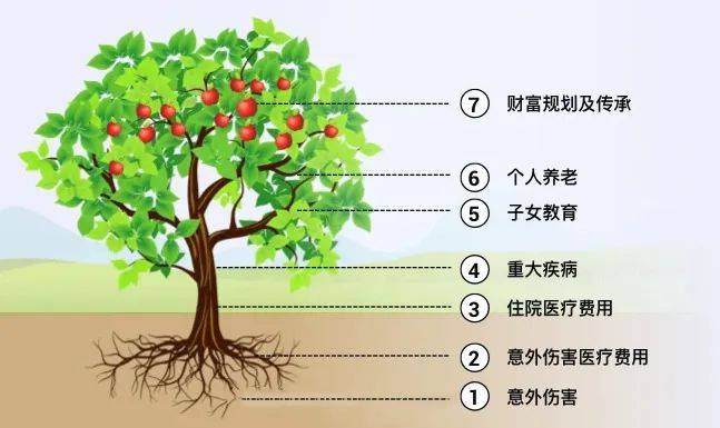 富管理与保险配置理念图m6米乐21个家庭财(图10)