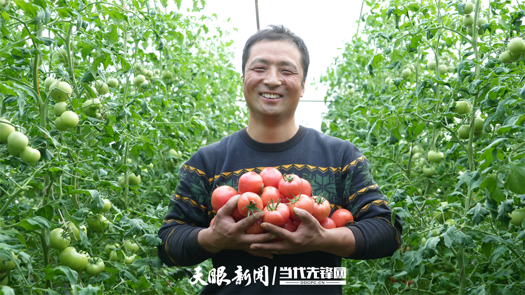 ·宁夏｜电商让村庄“柿”业旺米乐m6网站村里喜事捎北京(图1)