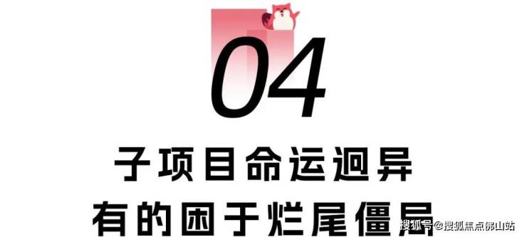 有的走向复活有的沦为仓库实探!南庄烂尾楼命运迥异(图2)